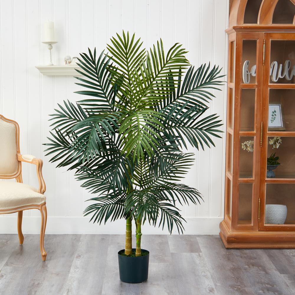 5ft. Golden Cane Palm Tree. Picture 8
