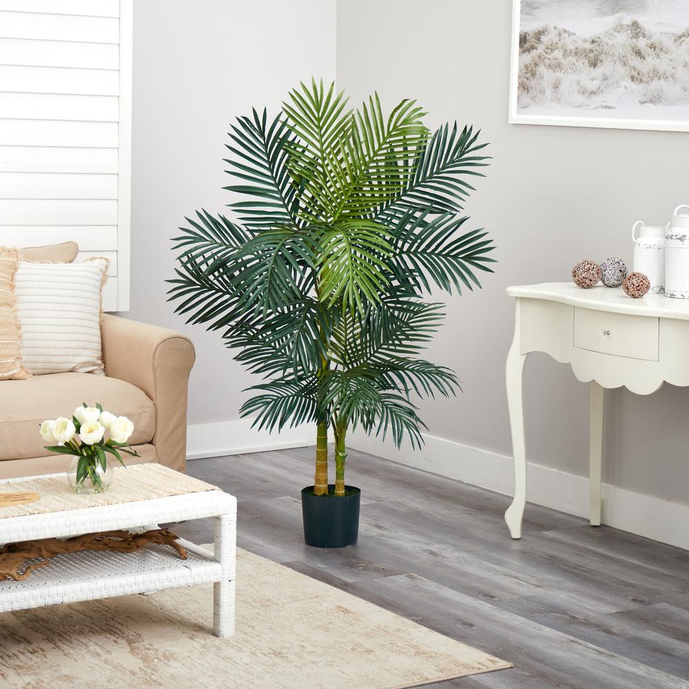 5ft. Golden Cane Palm Tree. Picture 2