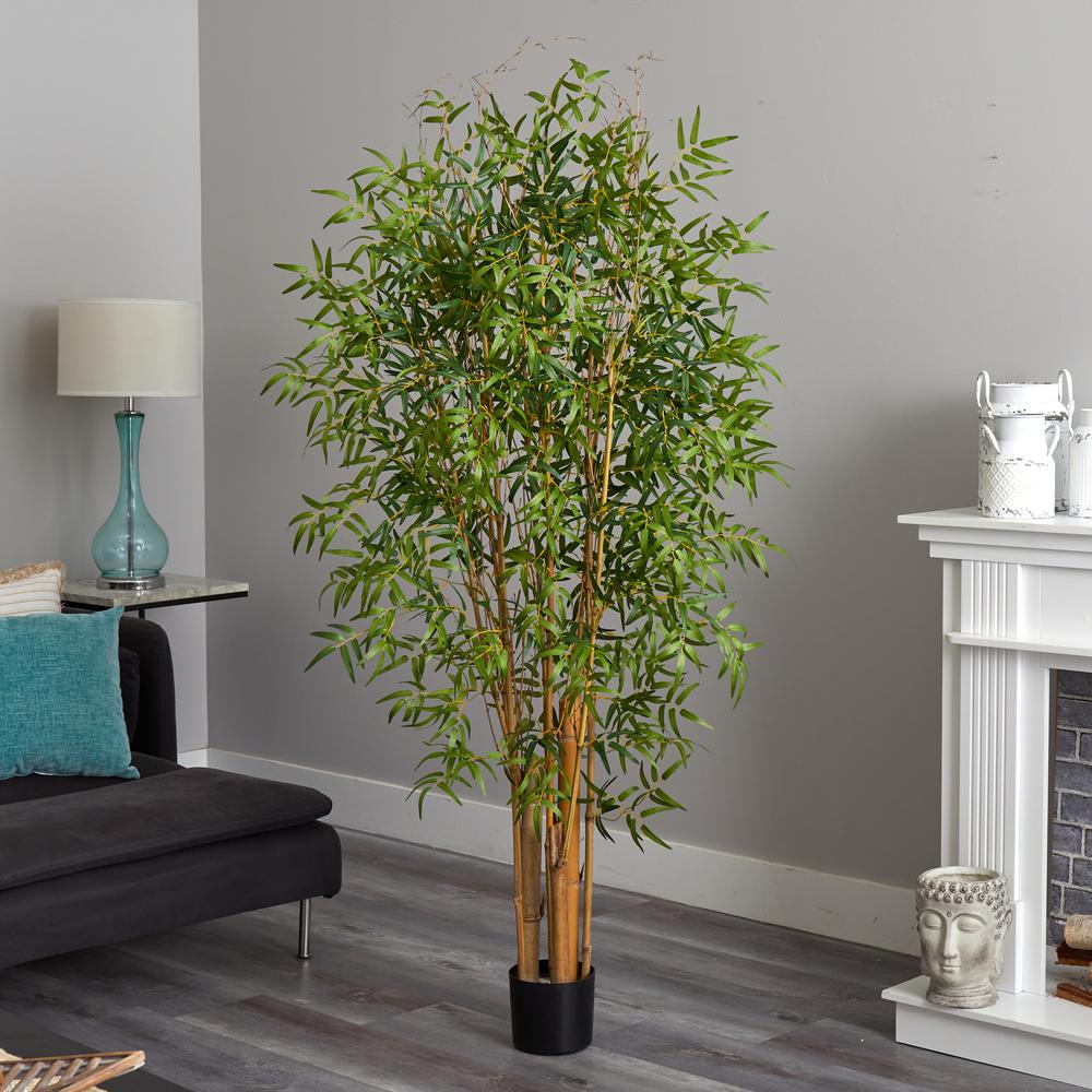 6ft. Japanese Bamboo Tree. Picture 2