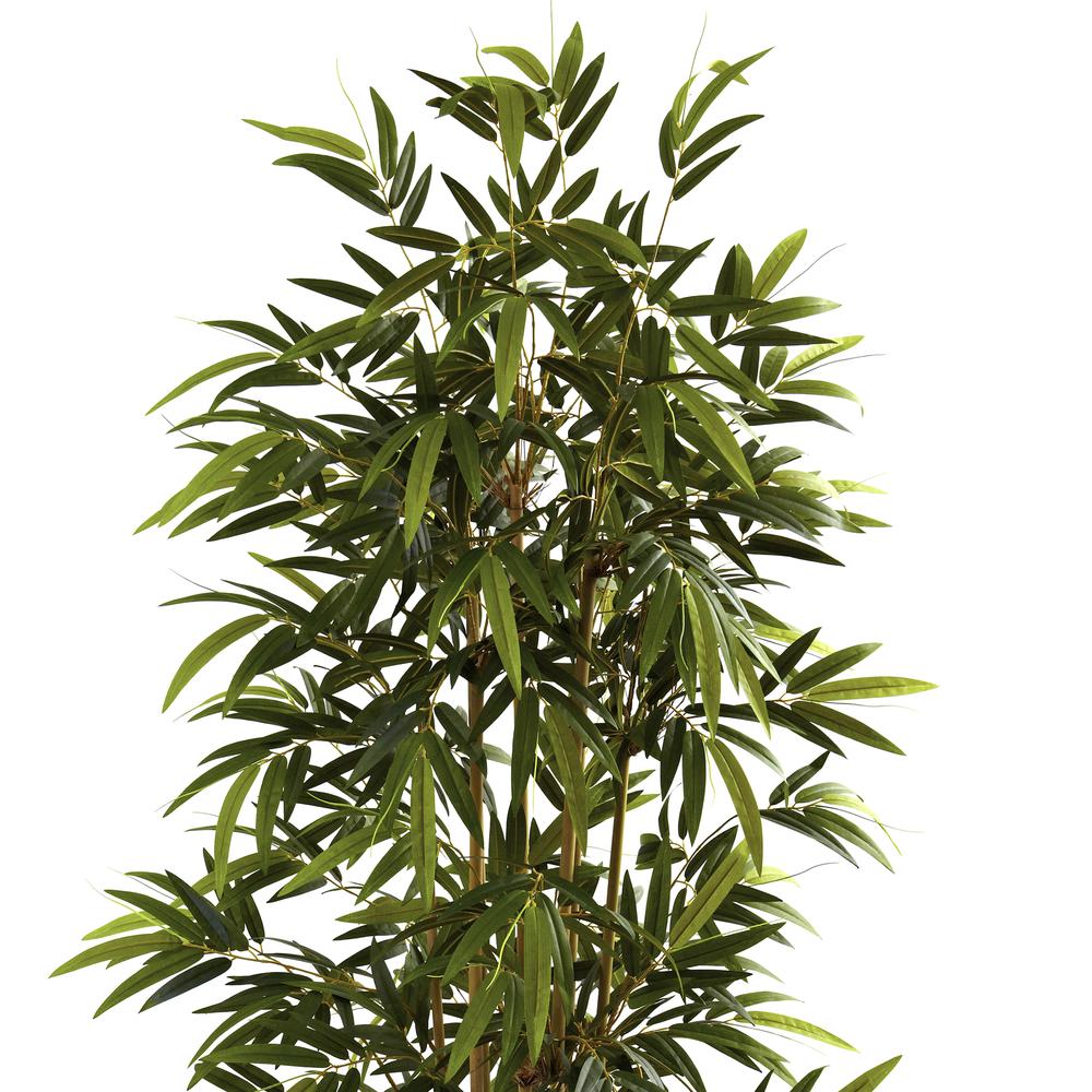 6ft. Bamboo Tree. Picture 3