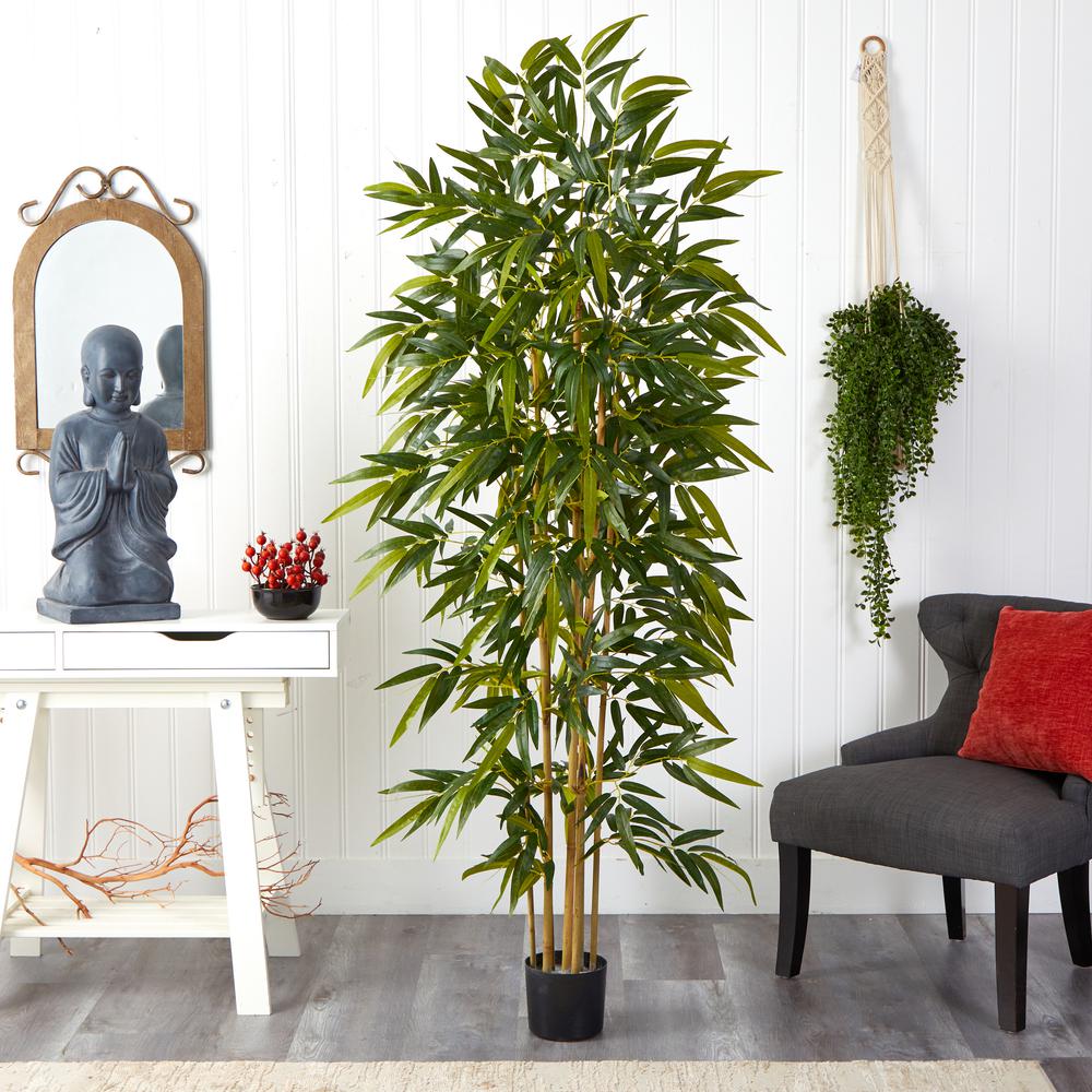 6ft. Bamboo Tree. Picture 5