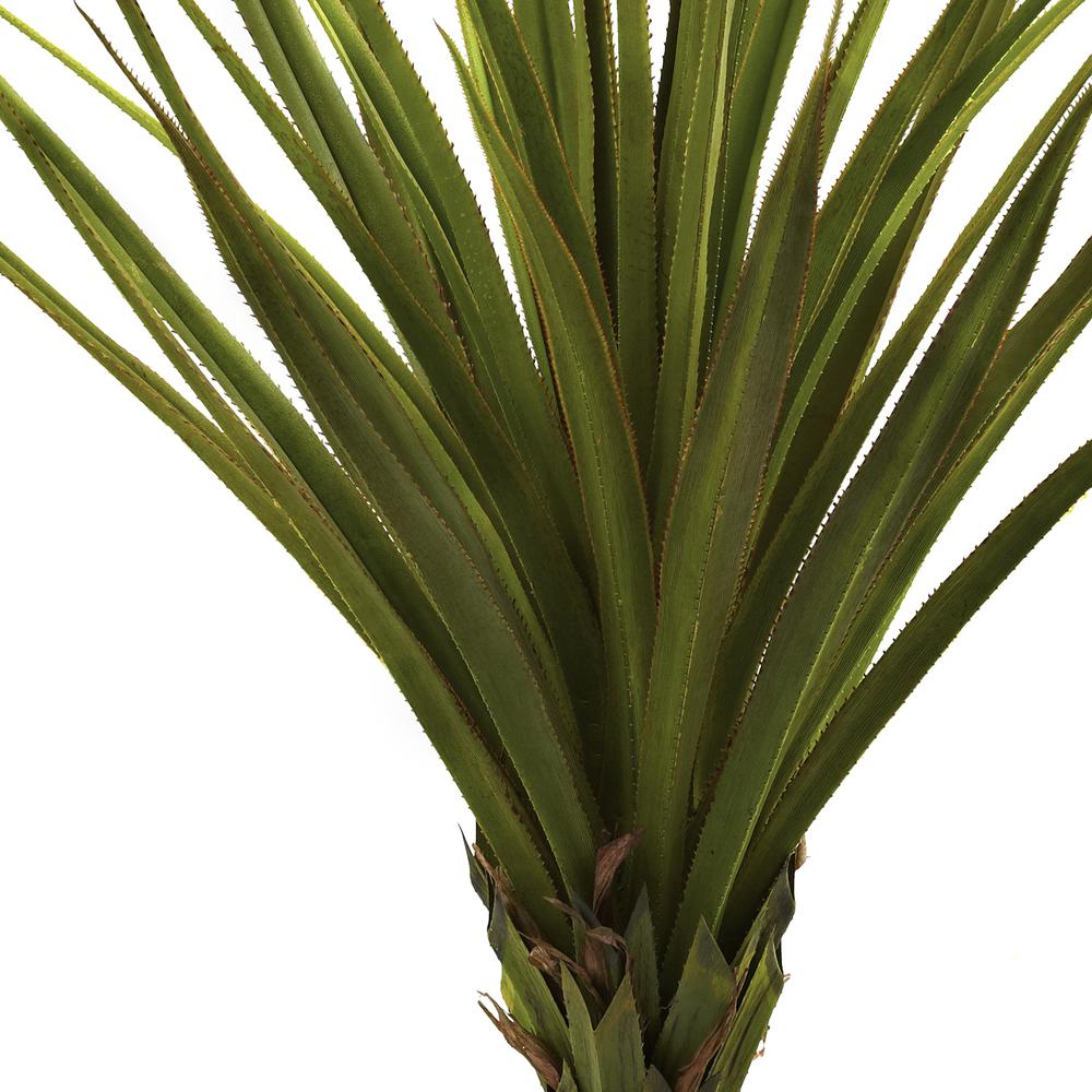 5ft. Spiked Agave Tree. Picture 3
