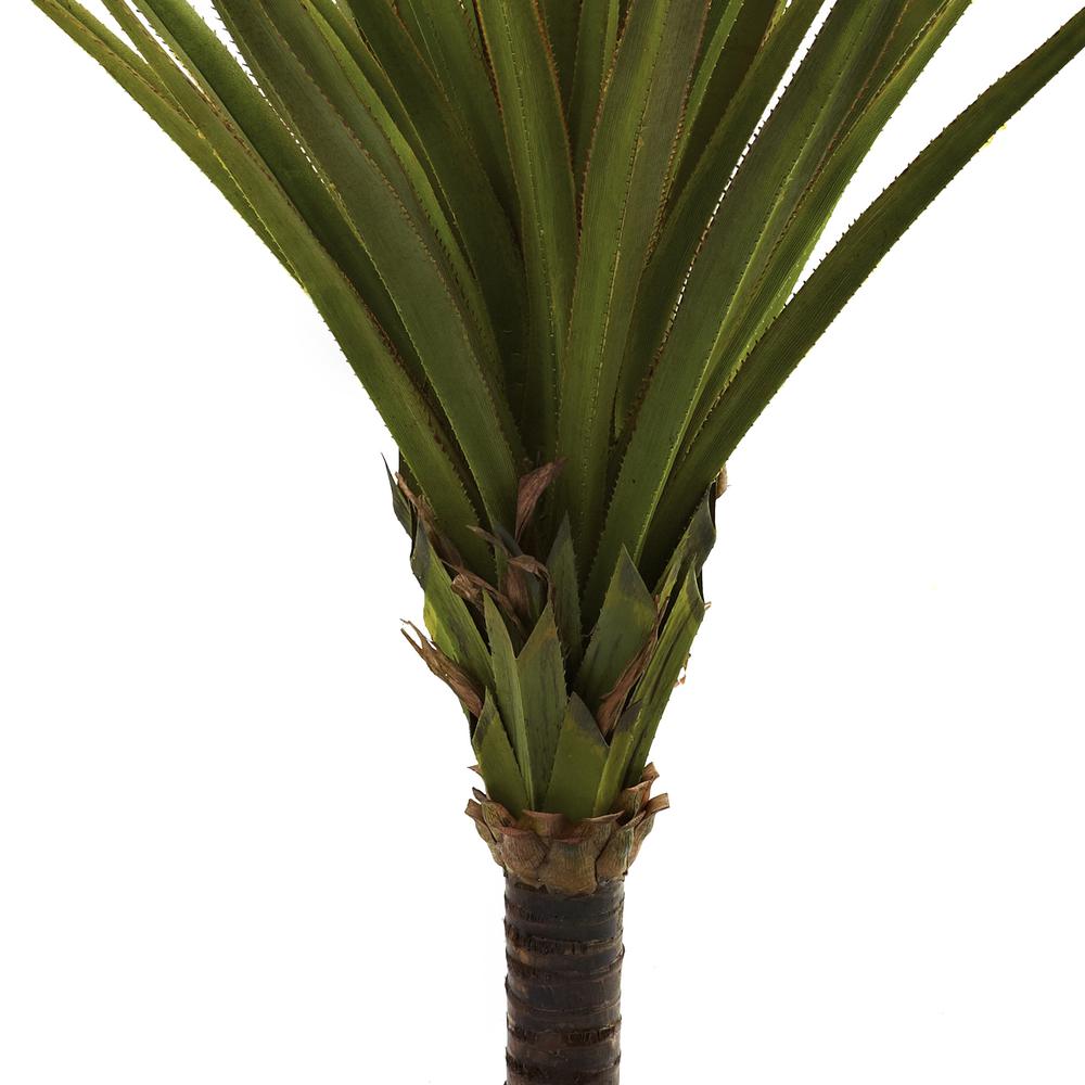 5ft. Spiked Agave Tree. Picture 2