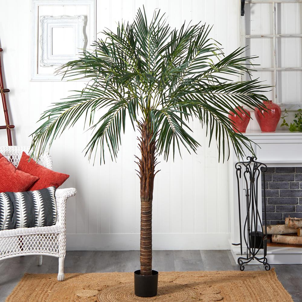 6ft. Robellini Palm Tree. Picture 3