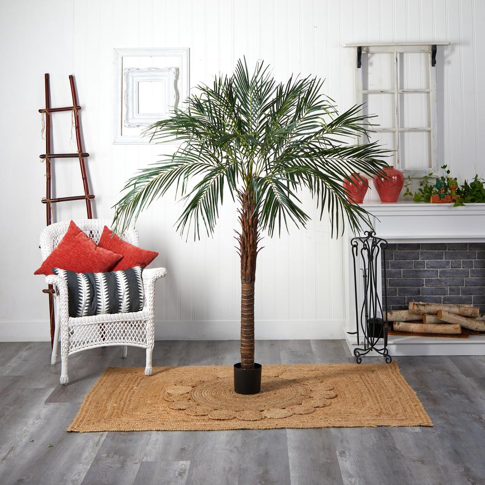 6ft. Robellini Palm Tree. Picture 5
