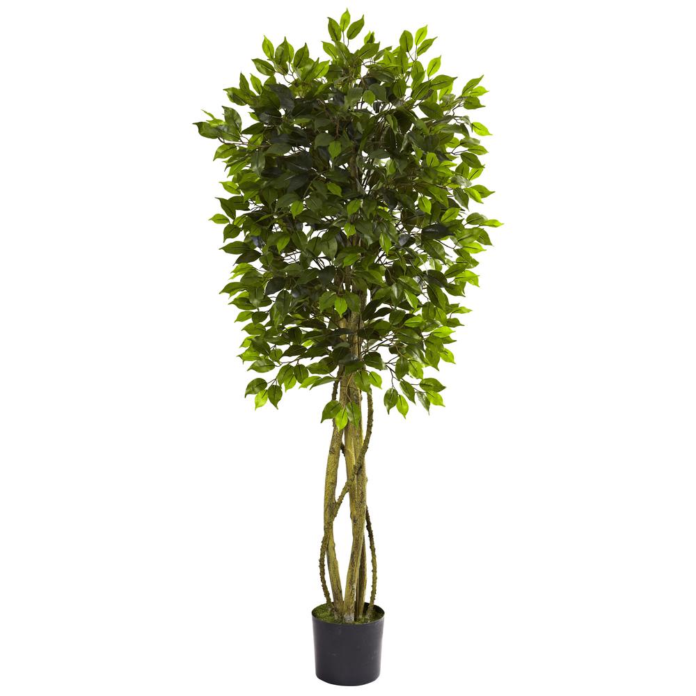 5.5ft. Ficus Tree UV Resistant (Indoor/Outdoor). Picture 1