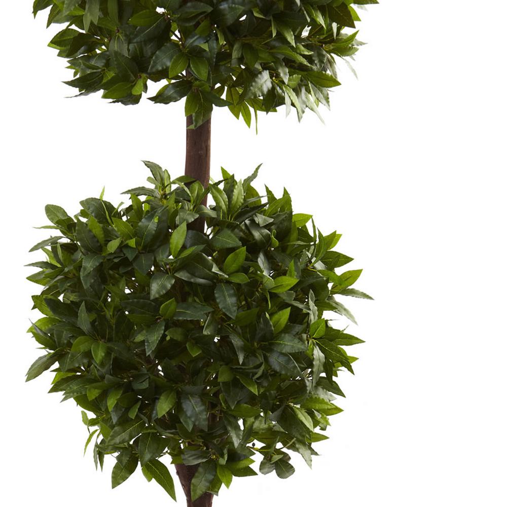 6ft. Sweet Bay Double Ball Topiary. Picture 5