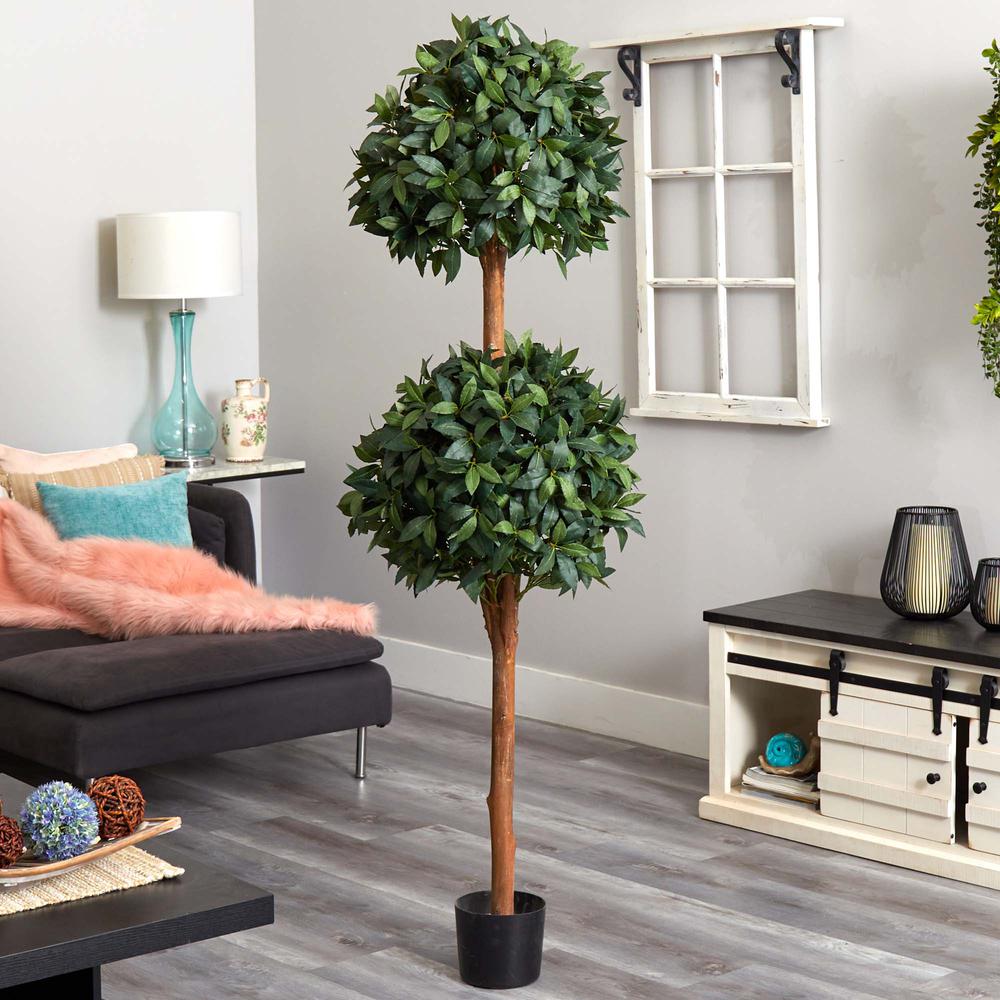 6ft. Sweet Bay Double Ball Topiary. Picture 2