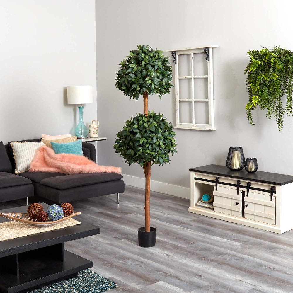 6ft. Sweet Bay Double Ball Topiary. Picture 4