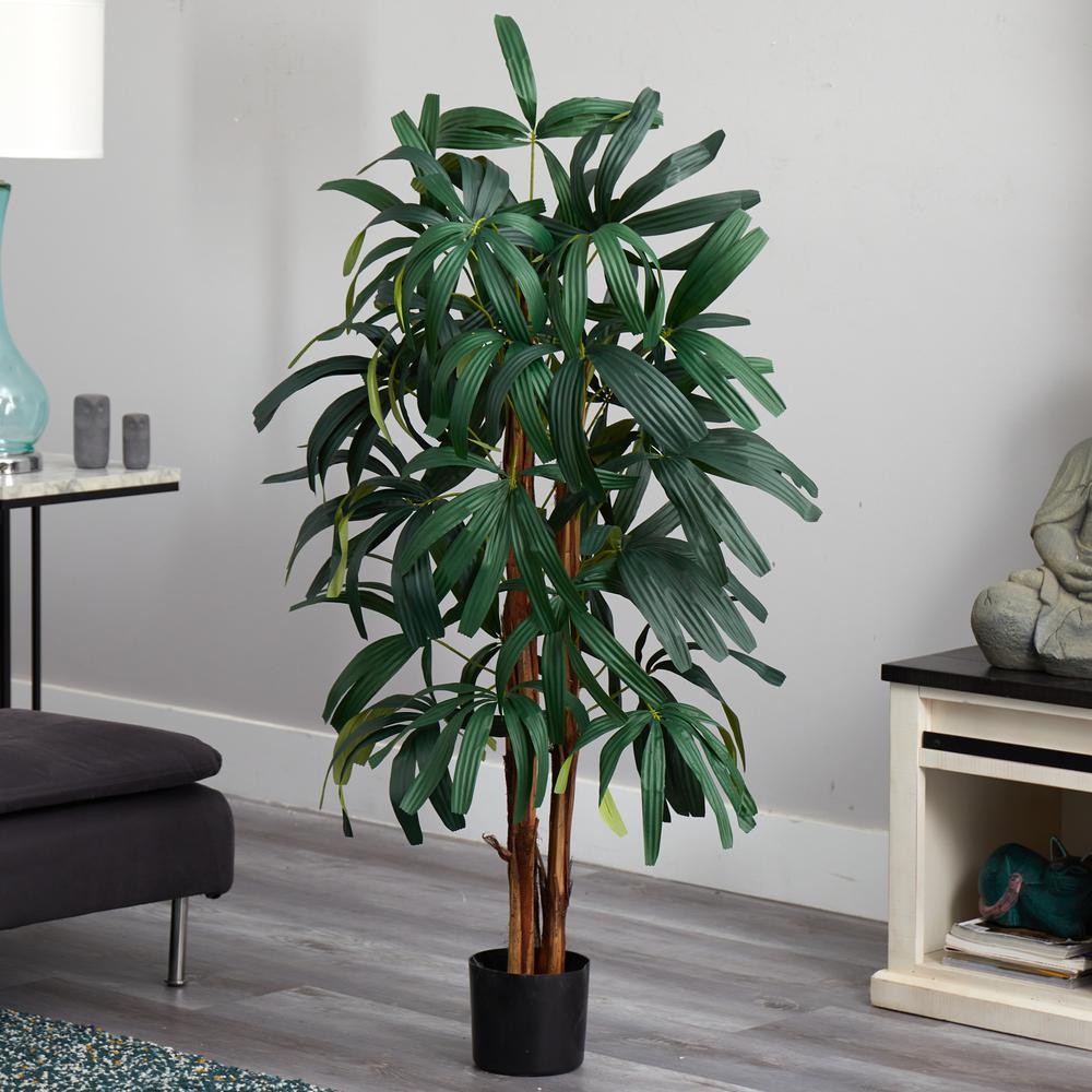 4ft. Raphis Palm Tree. Picture 3