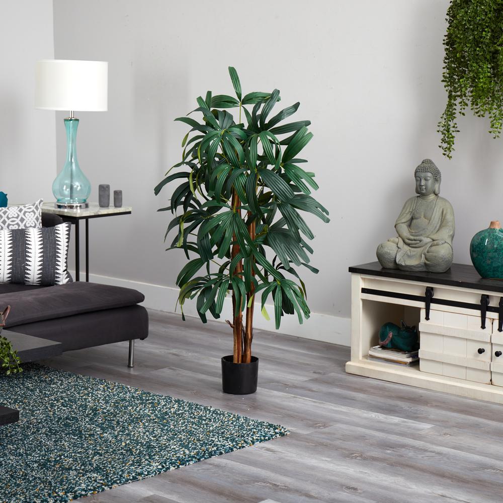 4ft. Raphis Palm Tree. Picture 2