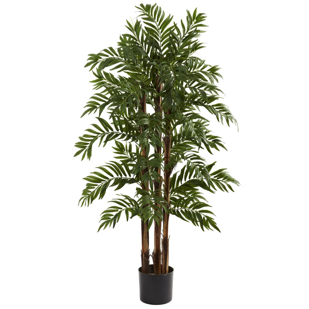4ft. Parlour Palm Tree. Picture 1