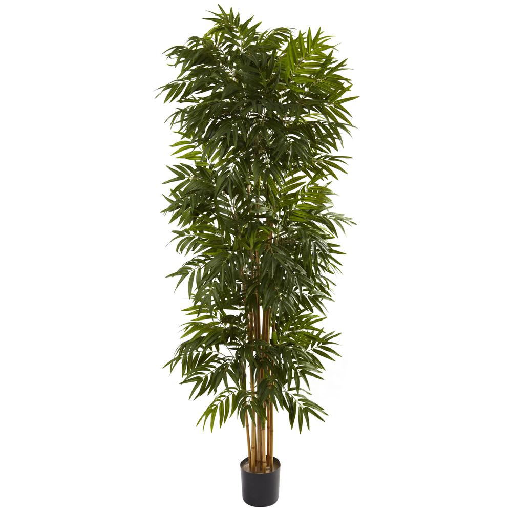 7.5ft. Phoenix Palm Tree. Picture 1