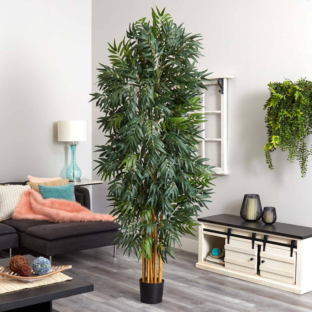 7.5ft. Phoenix Palm Tree. Picture 2