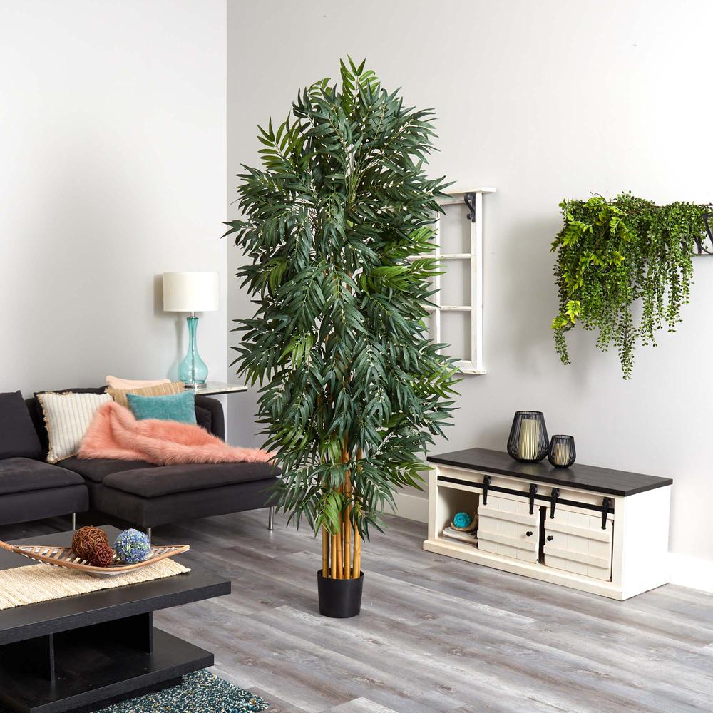 7.5ft. Phoenix Palm Tree. Picture 3