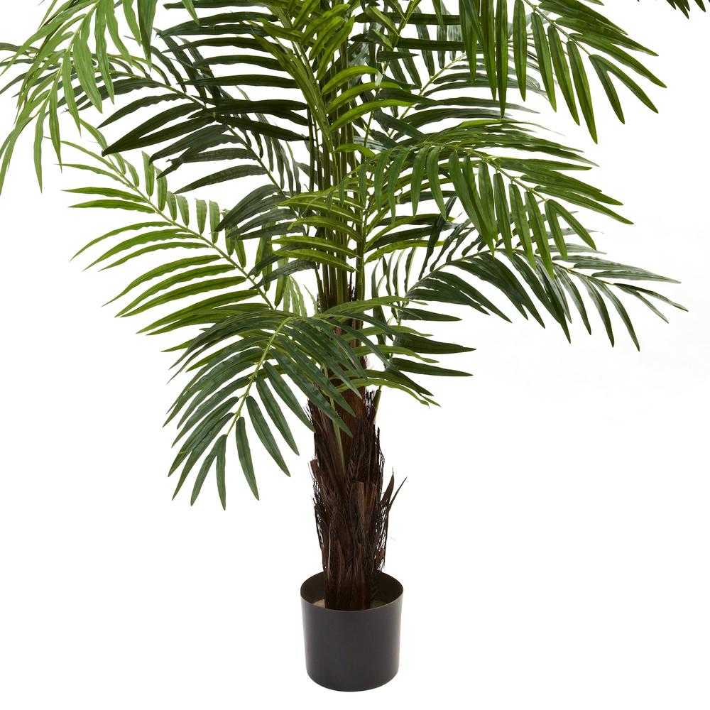 6ft. Areca Palm Tree. Picture 3