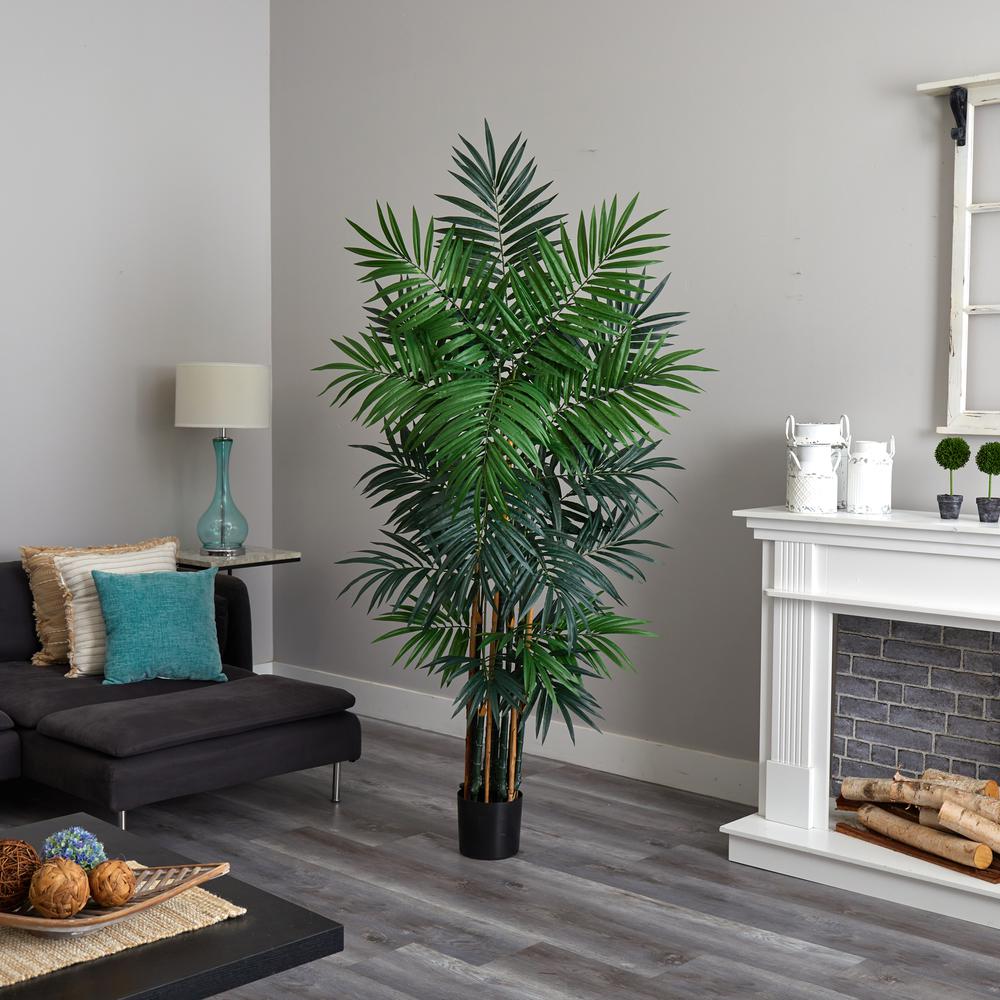 6ft. Bulb Areca Palm Tree. Picture 3