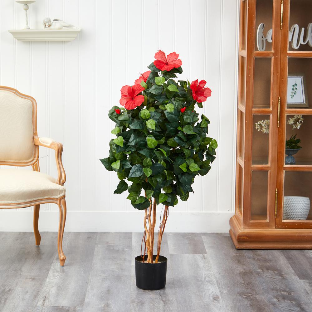 4ft. Hibiscus Tree. Picture 2