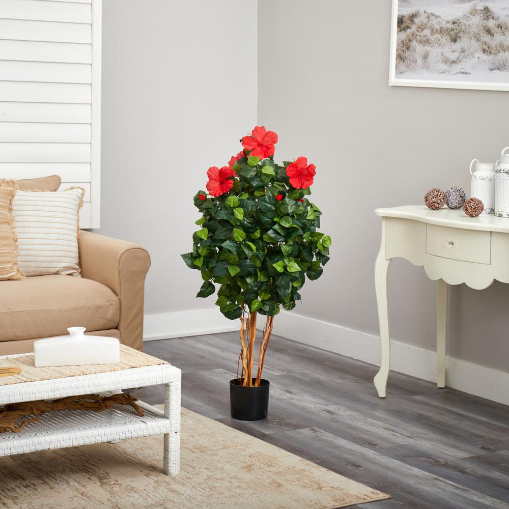4ft. Hibiscus Tree. Picture 3