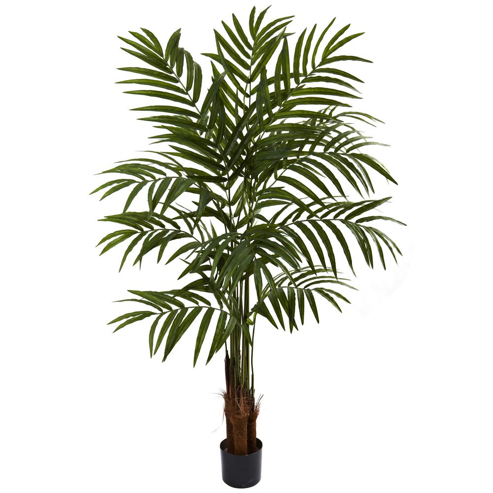 5ft. Big Palm Tree. Picture 1
