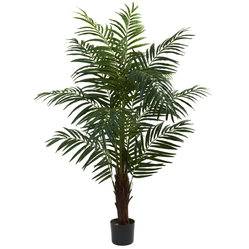 5ft. Areca Palm Tree. Picture 1