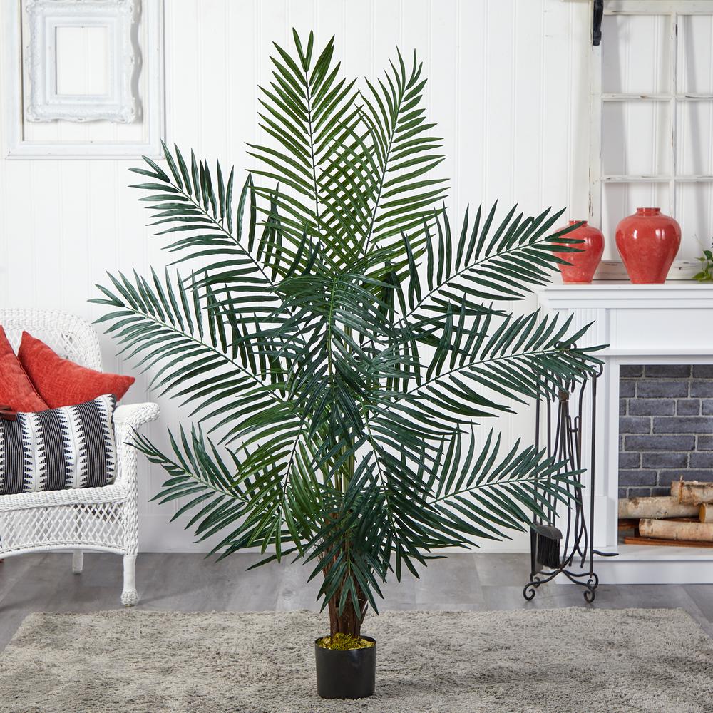 5ft. Areca Palm Tree. Picture 2