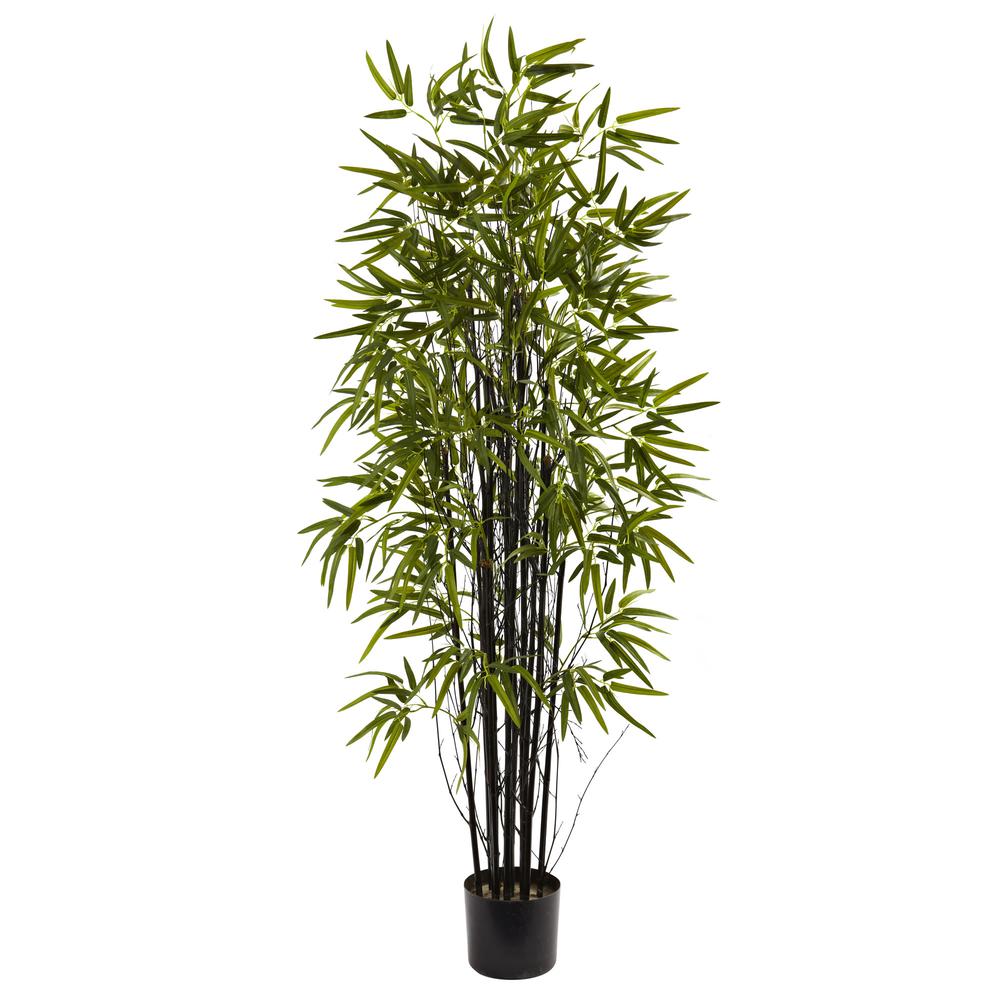 5ft. Black Bamboo Tree. Picture 1