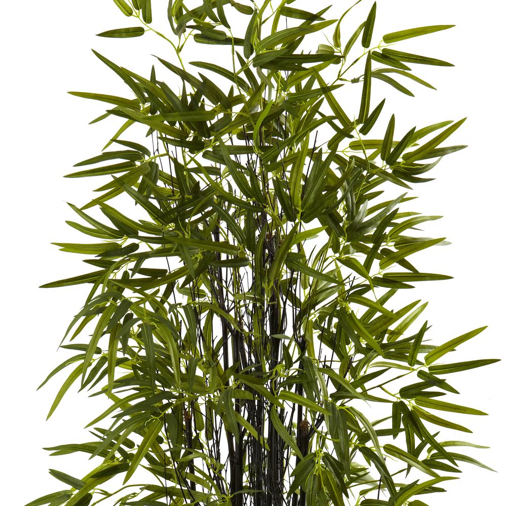 5ft. Black Bamboo Tree. Picture 4