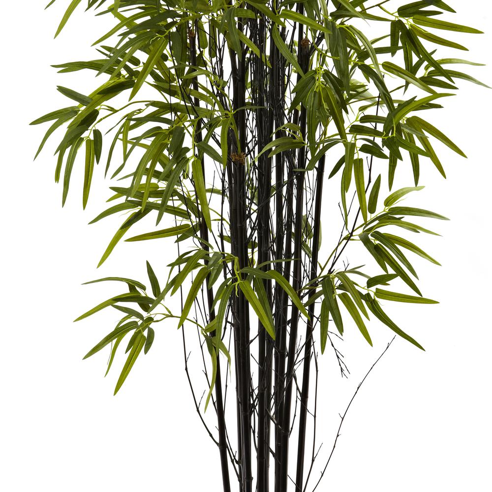5ft. Black Bamboo Tree. Picture 3