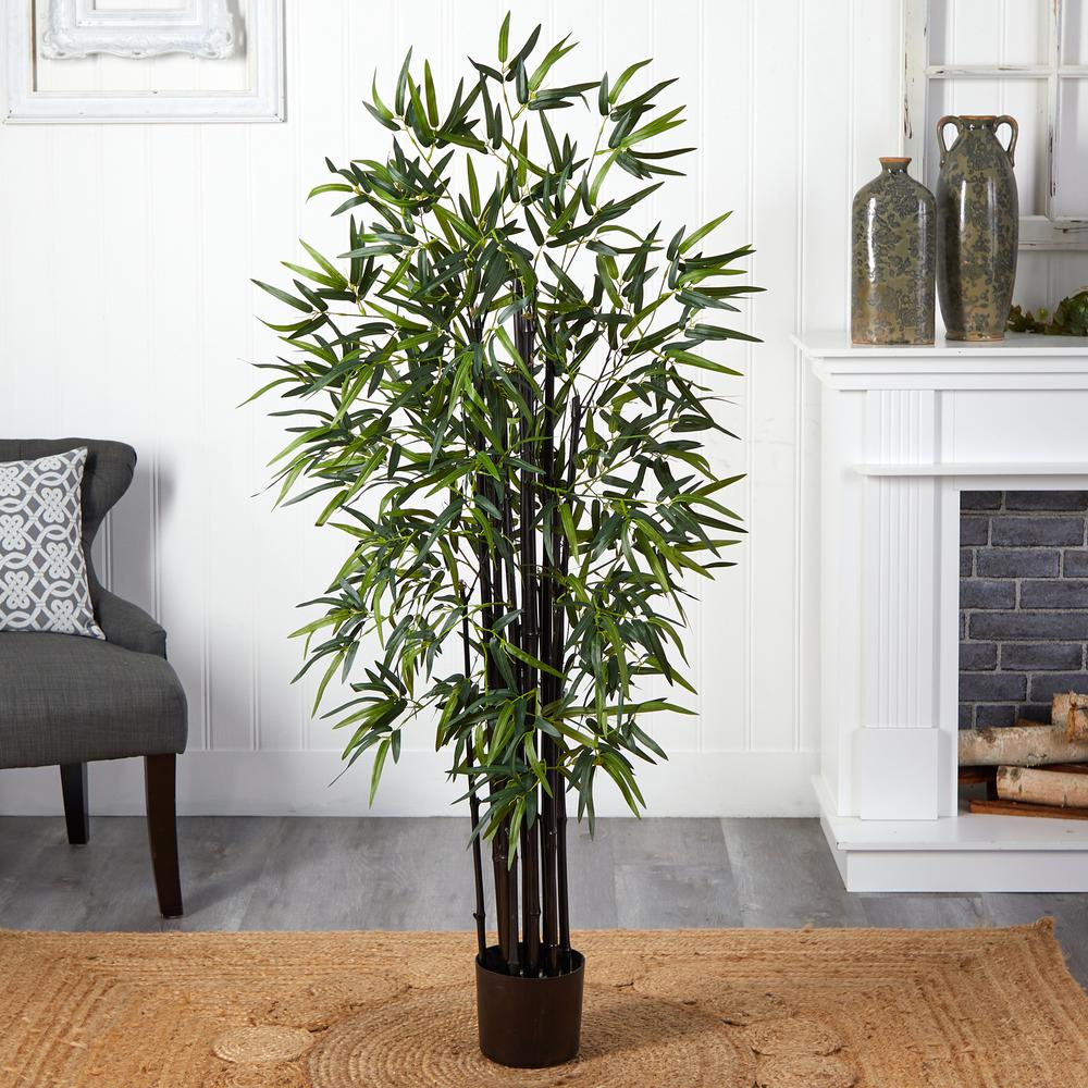 5ft. Black Bamboo Tree. Picture 2