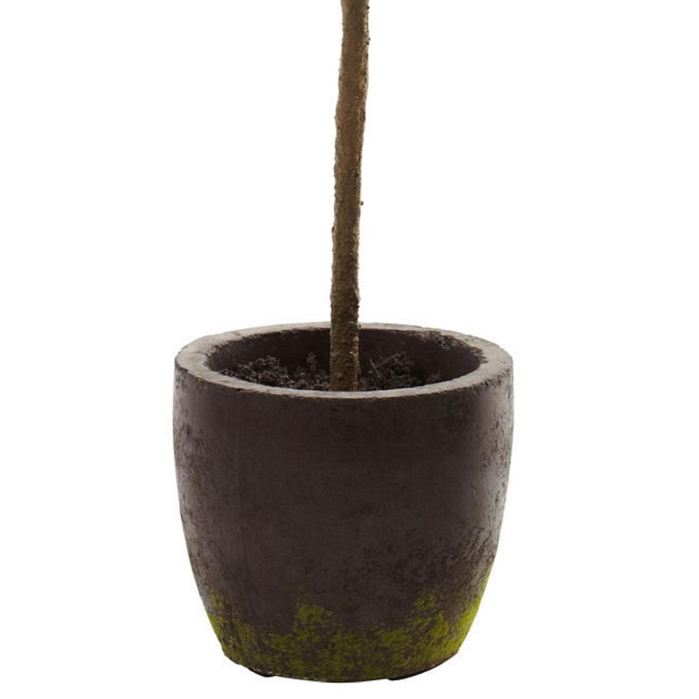 29in. Topiary with Decorative Planter. Picture 3
