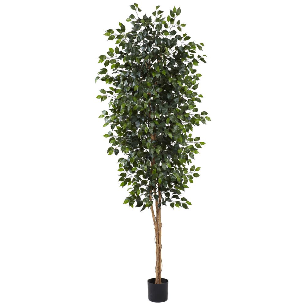 Artificial 8ft. Ficus Tree 44” Wide Natural trunks Realistic look. Picture 1