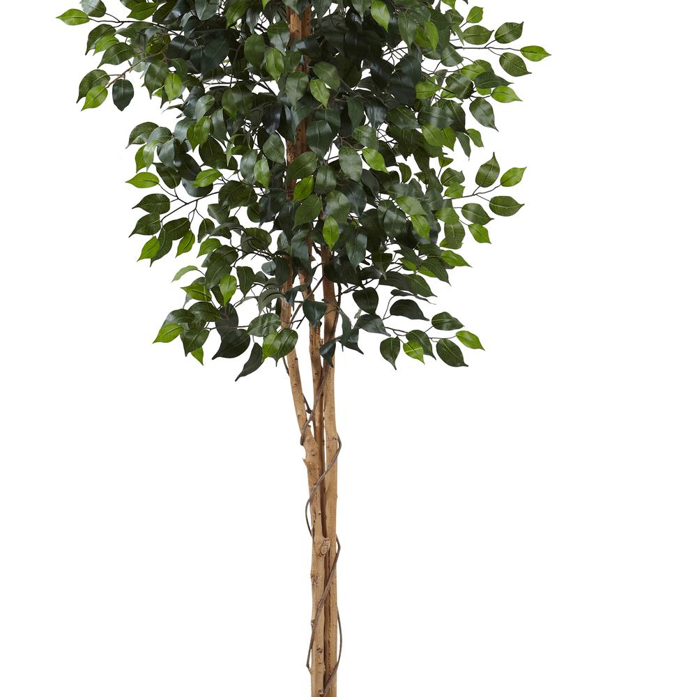 Artificial 8ft. Ficus Tree 44” Wide Natural trunks Realistic look. Picture 4