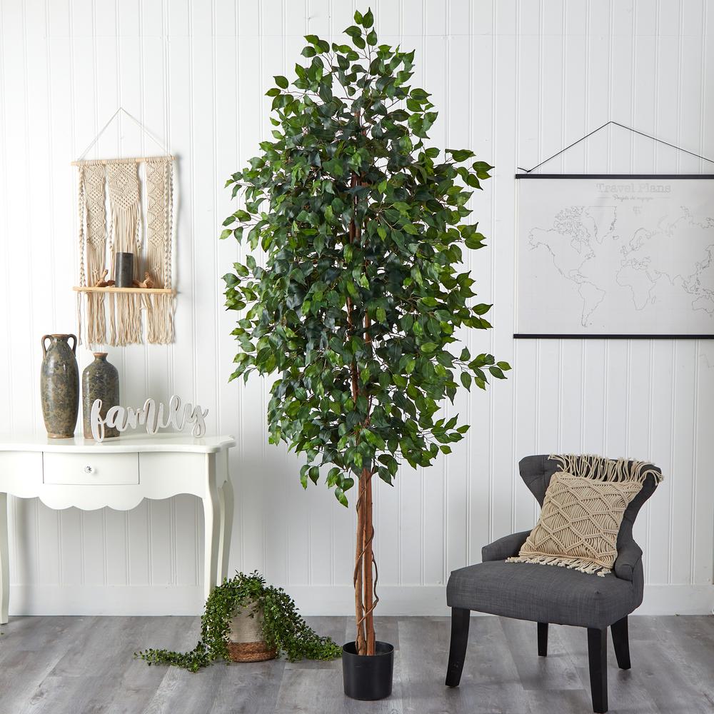 Artificial 8ft. Ficus Tree 44” Wide Natural trunks Realistic look. Picture 5