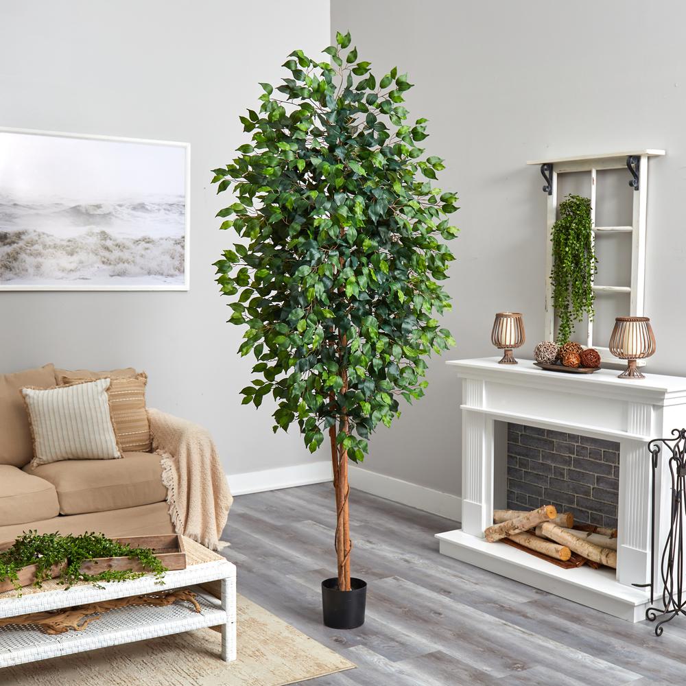 Artificial 8ft. Ficus Tree 44” Wide Natural trunks Realistic look. Picture 2