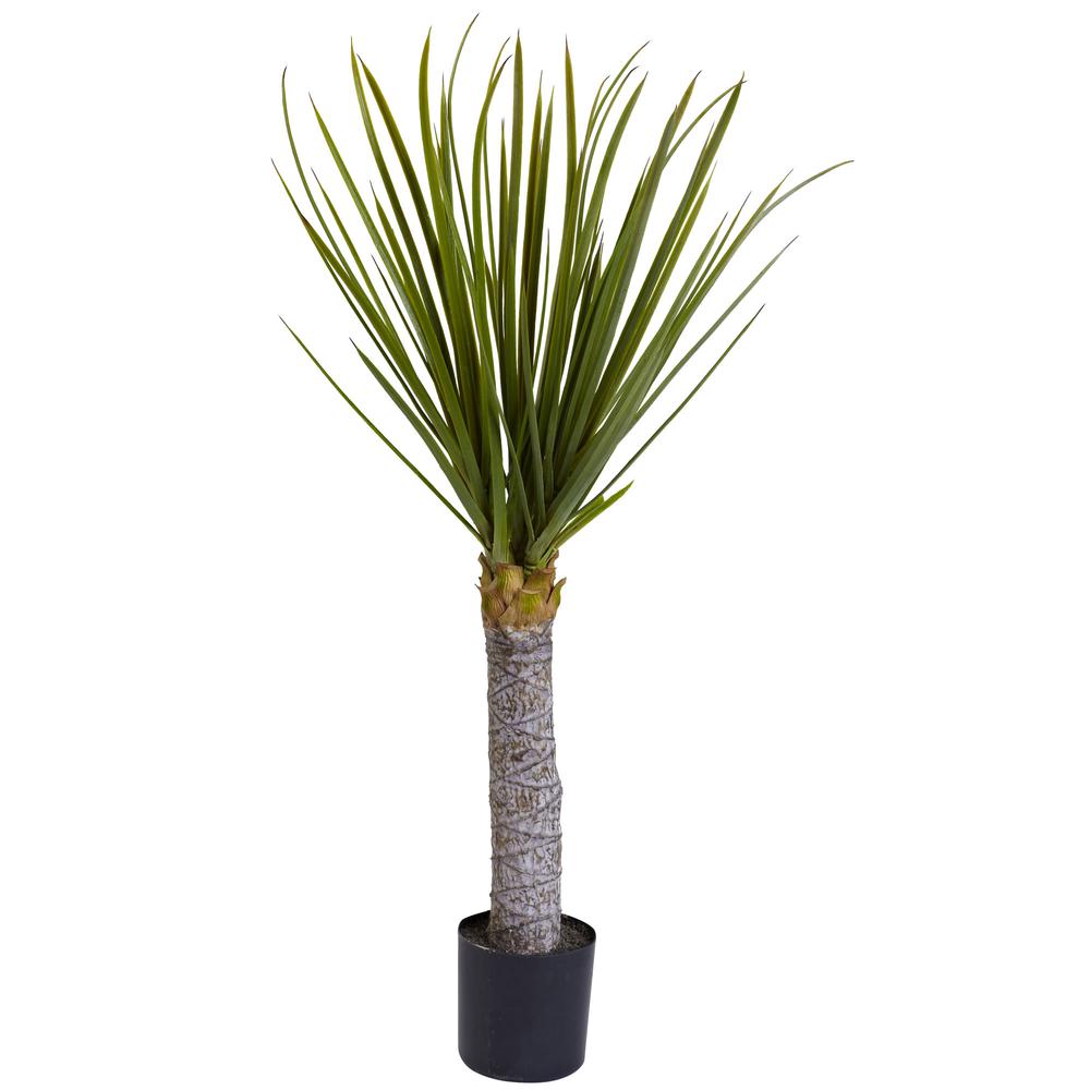 3ft. Yucca Tree. Picture 1