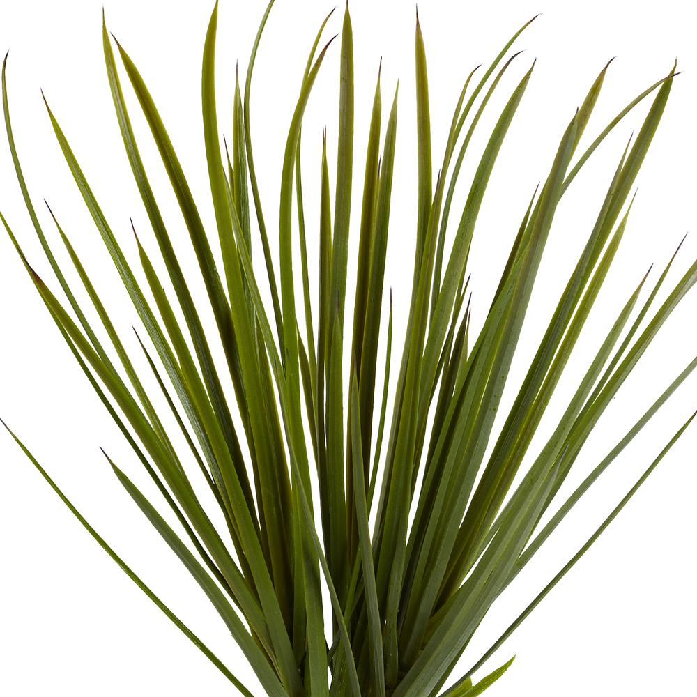3ft. Yucca Tree. Picture 2