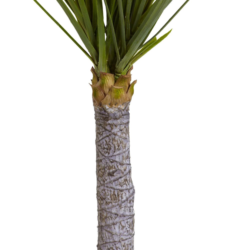 3ft. Yucca Tree. Picture 3