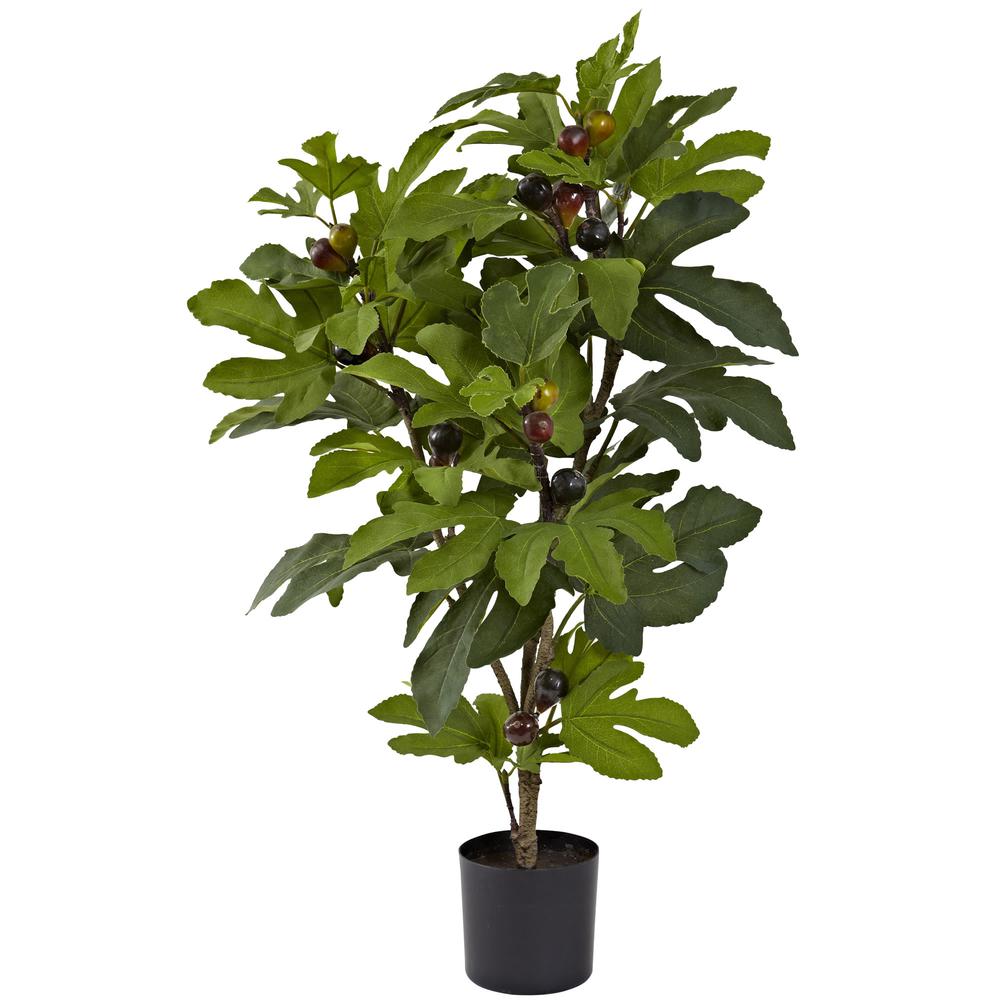 32in. Fig Tree with 15 Figs. Picture 1