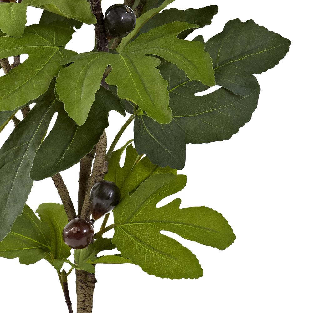 32in. Fig Tree with 15 Figs. Picture 4