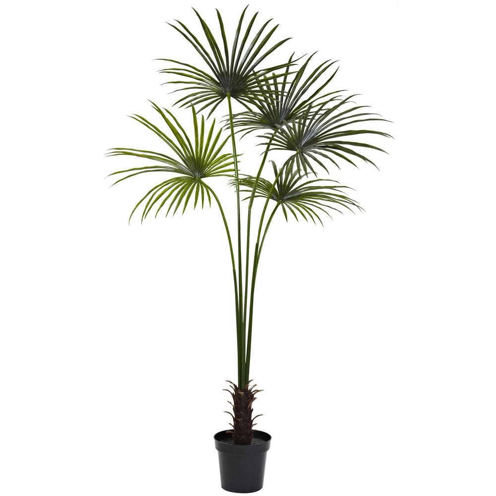 7ft. Fan Palm Tree UV Resistant (Indoor/Outdoor). Picture 1