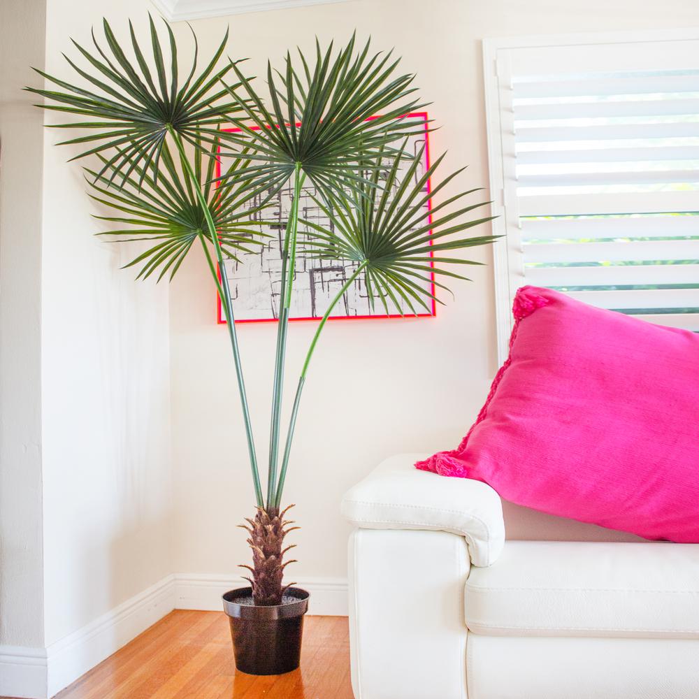 7ft. Fan Palm Tree UV Resistant (Indoor/Outdoor). Picture 6