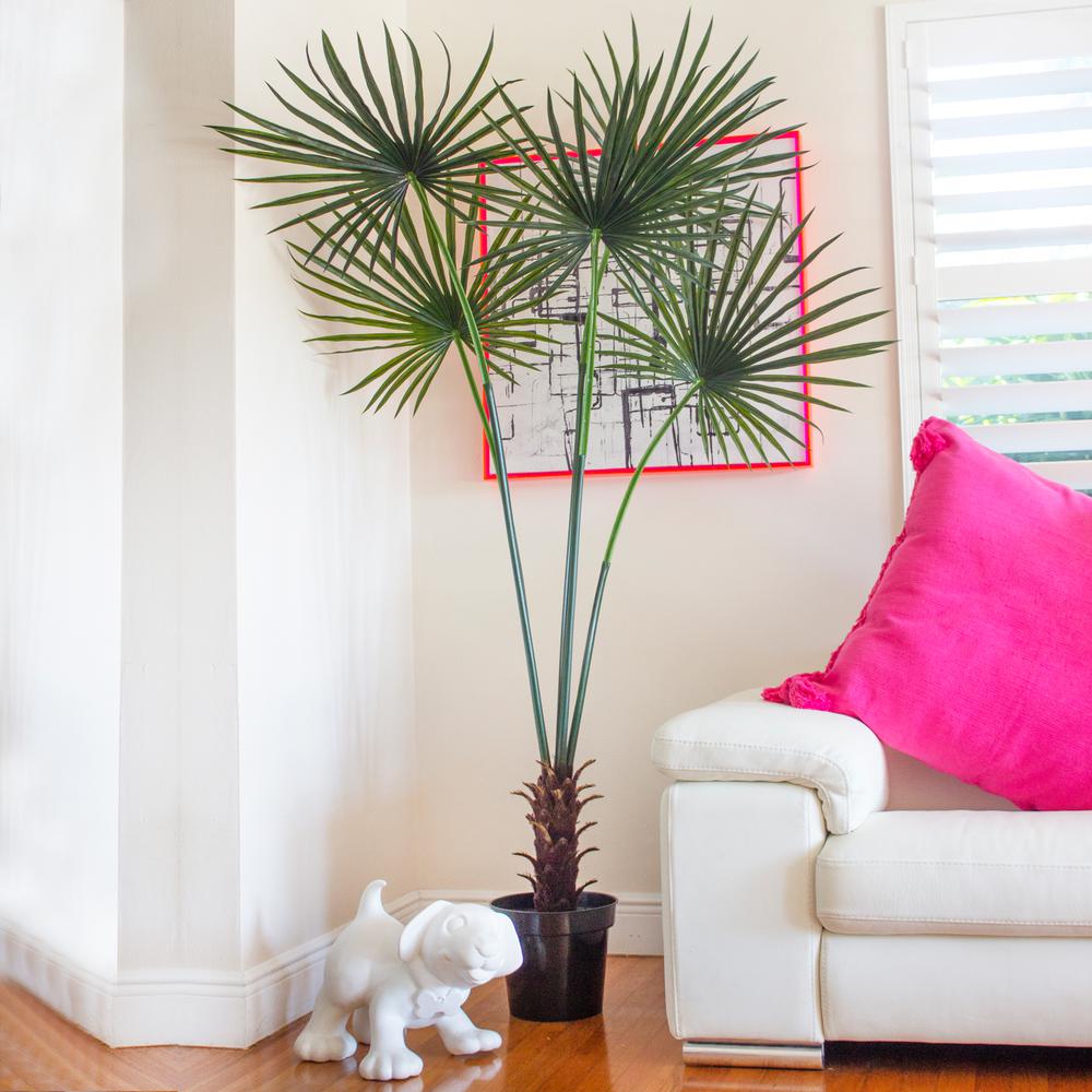 7ft. Fan Palm Tree UV Resistant (Indoor/Outdoor). Picture 2