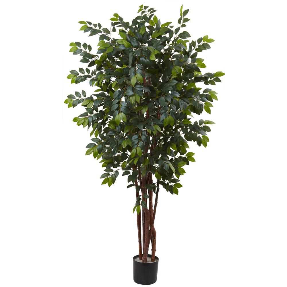 7ft. Sakaki Silk Tree. Picture 1