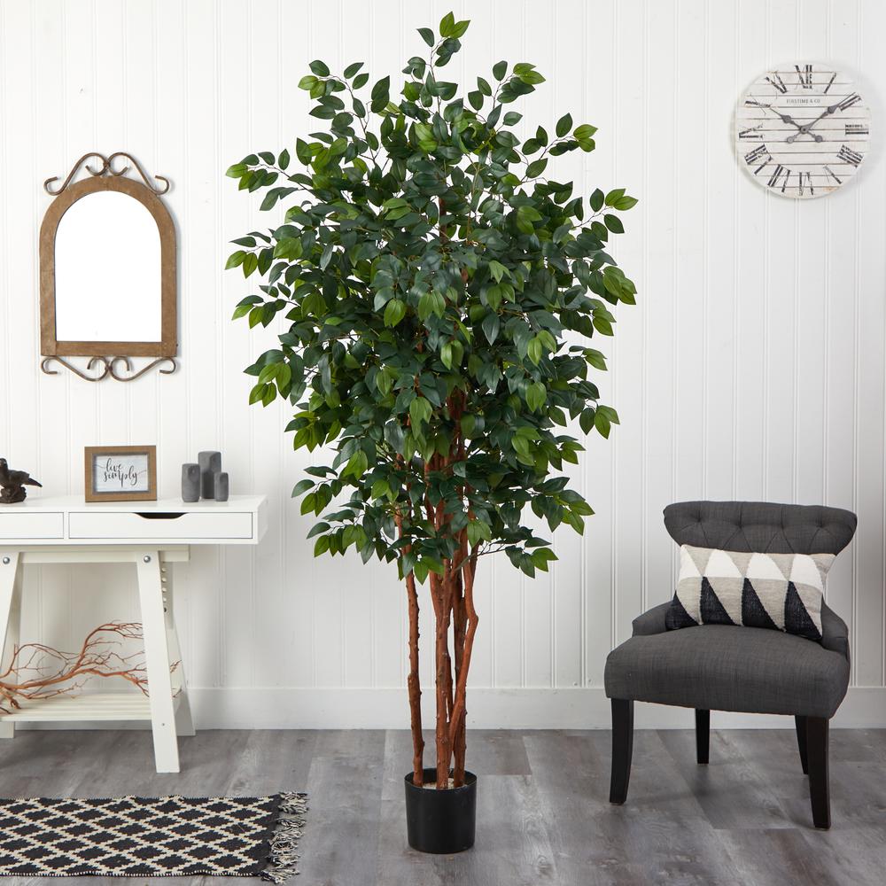 7ft. Sakaki Silk Tree. Picture 3