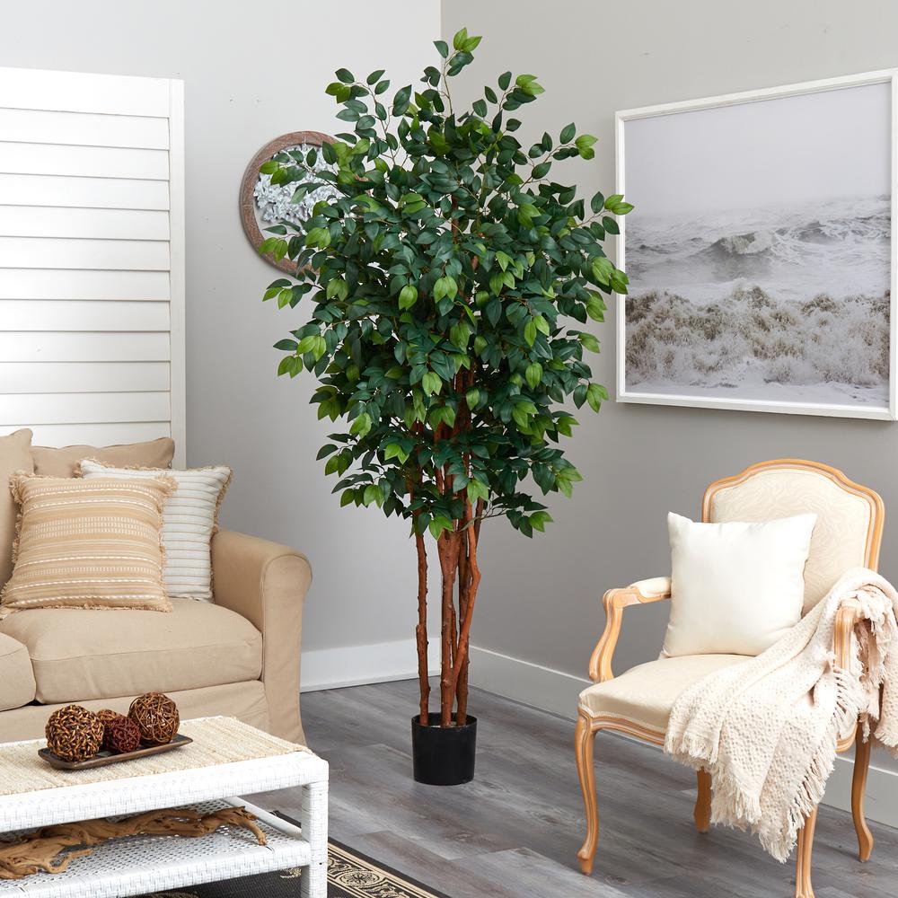 7ft. Sakaki Silk Tree. Picture 2
