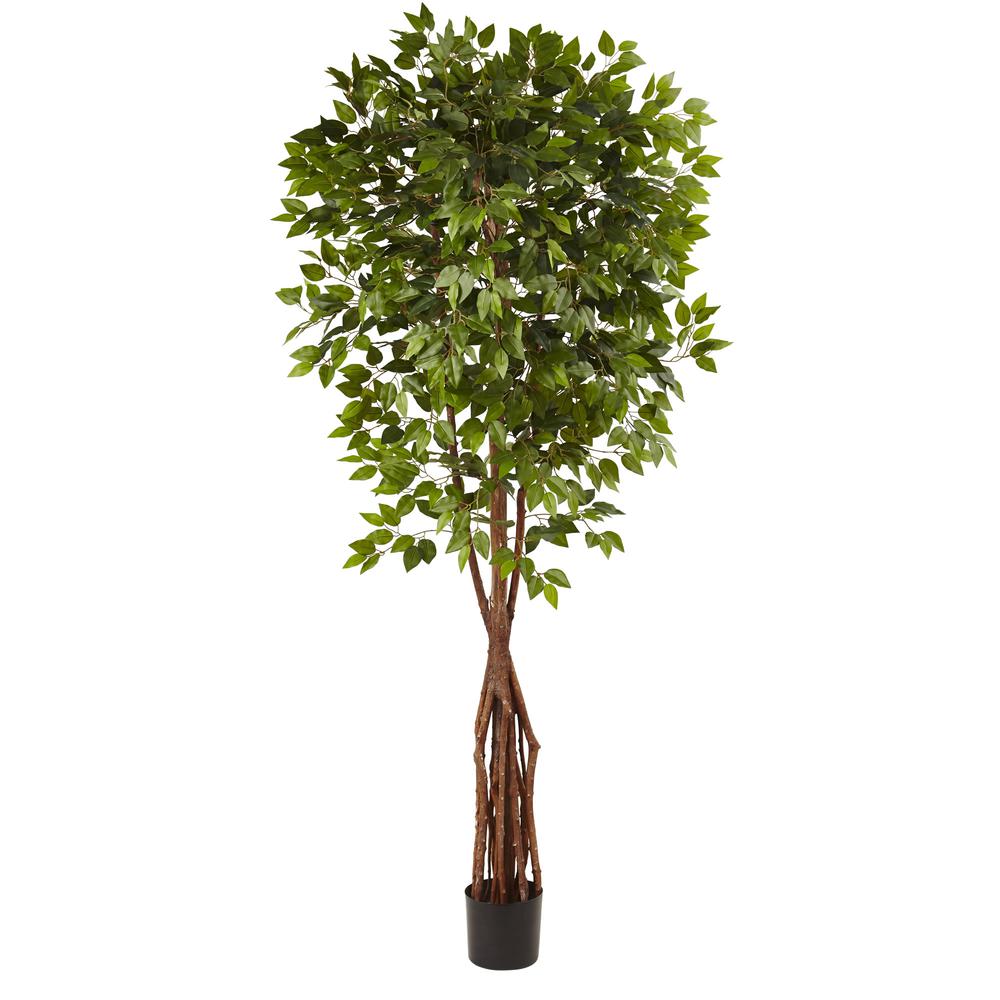 7.5ft. Super Deluxe Ficus Tree. Picture 1