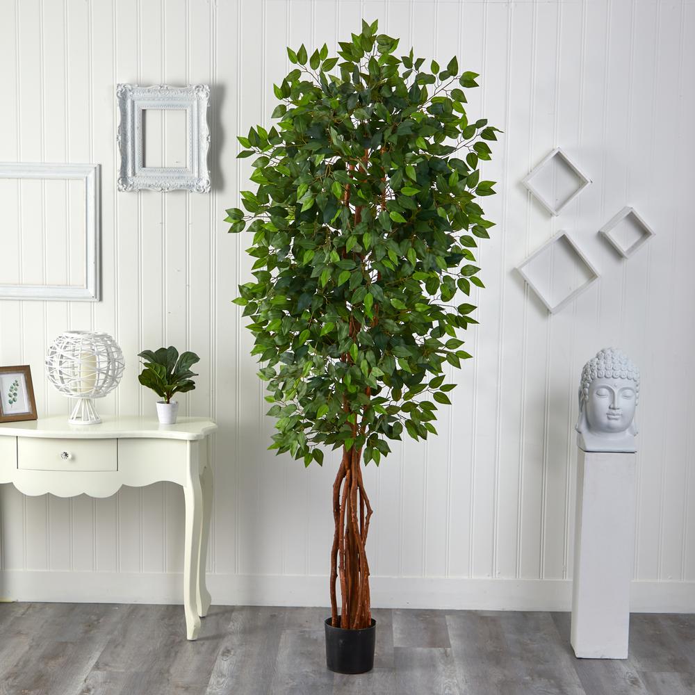 7.5ft. Super Deluxe Ficus Tree. Picture 2