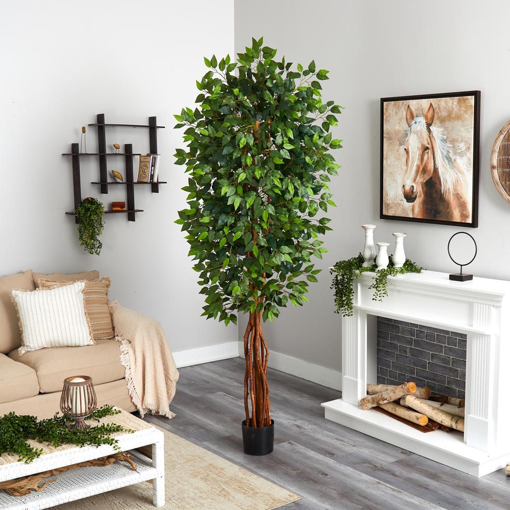 7.5ft. Super Deluxe Ficus Tree. Picture 3