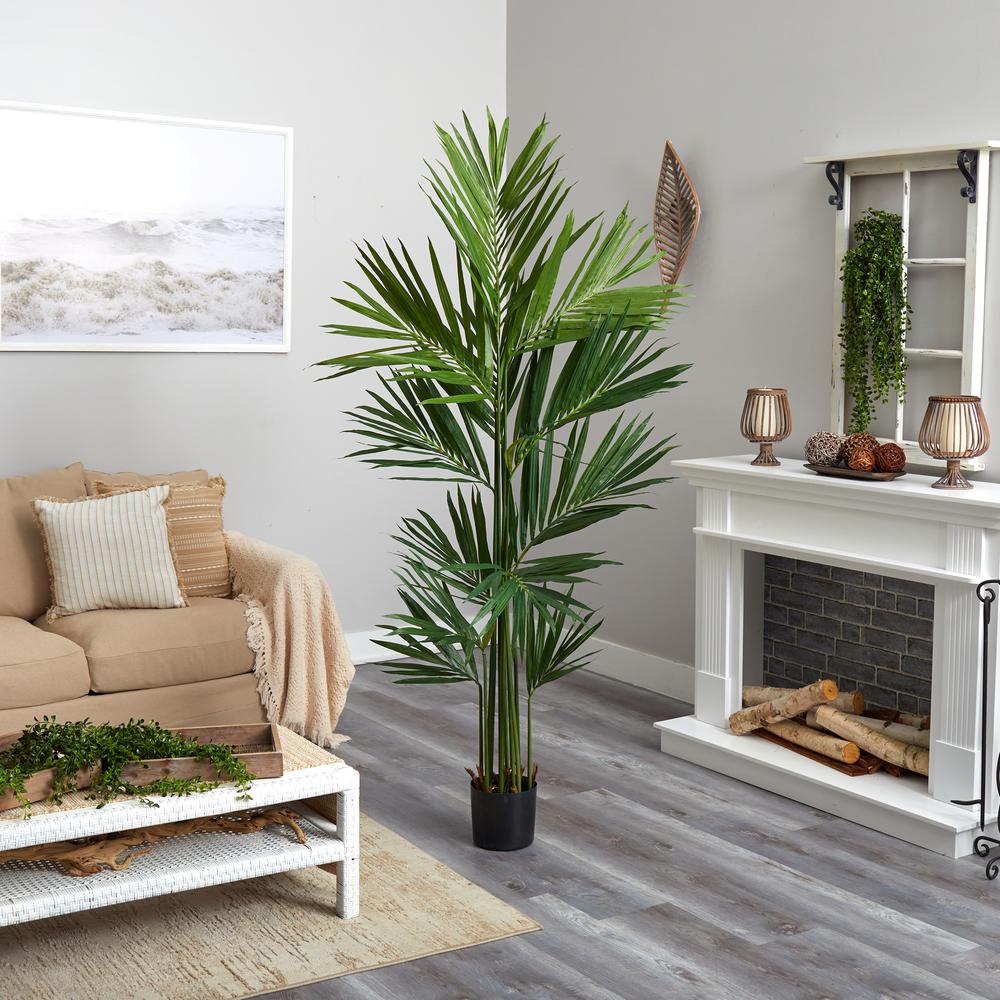 7ft. Kentia Palm Silk Tree. Picture 2